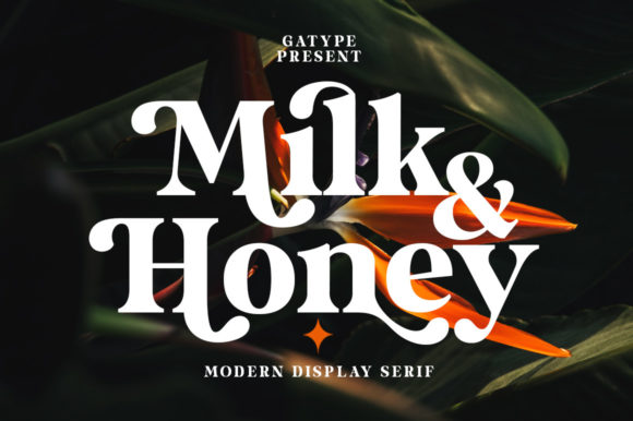 Milk and Honey: A Bold Serif Font for Modern Design